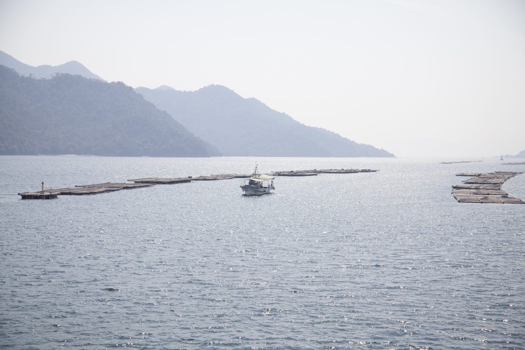 広島の名物グルメ「牡蠣」