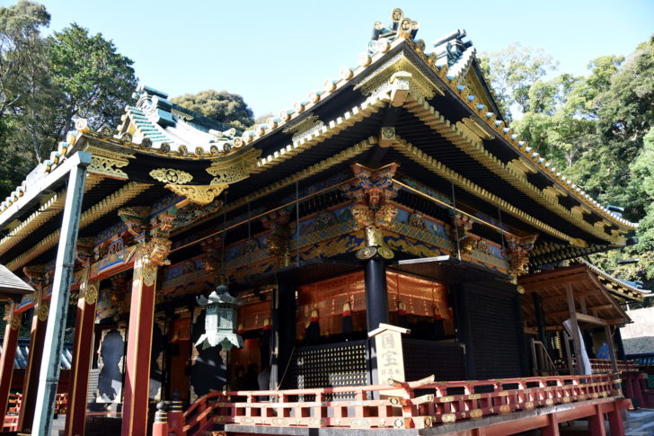 静岡県の名物グルメ